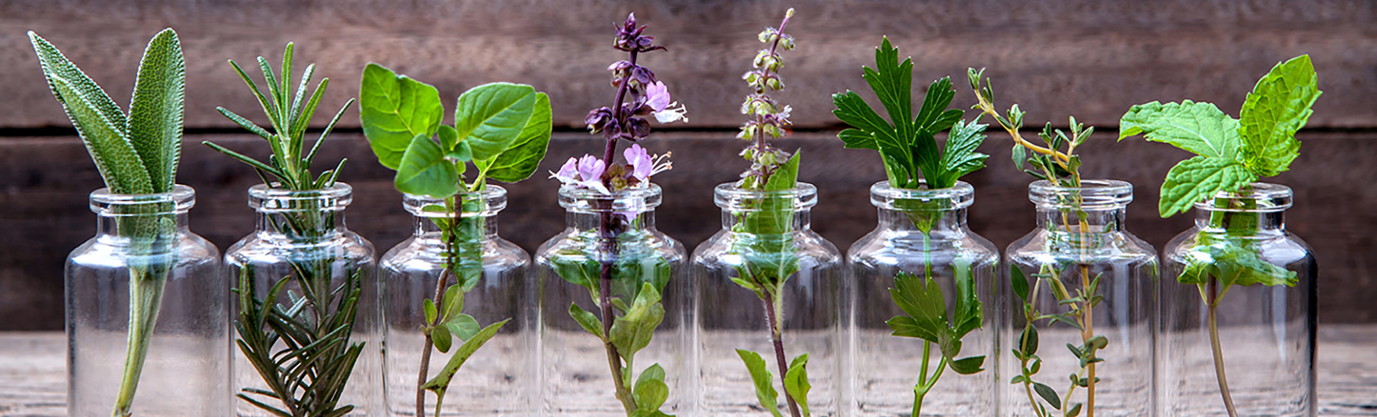 NATUROPATHIE::Prévenir plutôt que guérir".